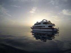 Red Sea Liveaboard Scuba Diving Holiday. Emperor Asmaa.